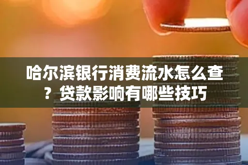 哈尔滨银行消费流水怎么查?贷款影响有哪些技巧